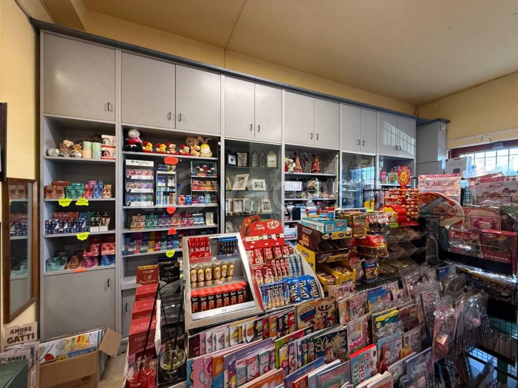 immagine annuncio 6 di 14