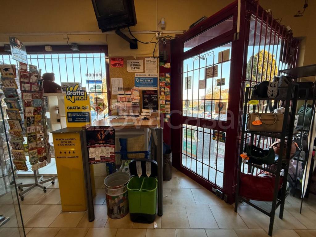 immagine annuncio 7 di 14