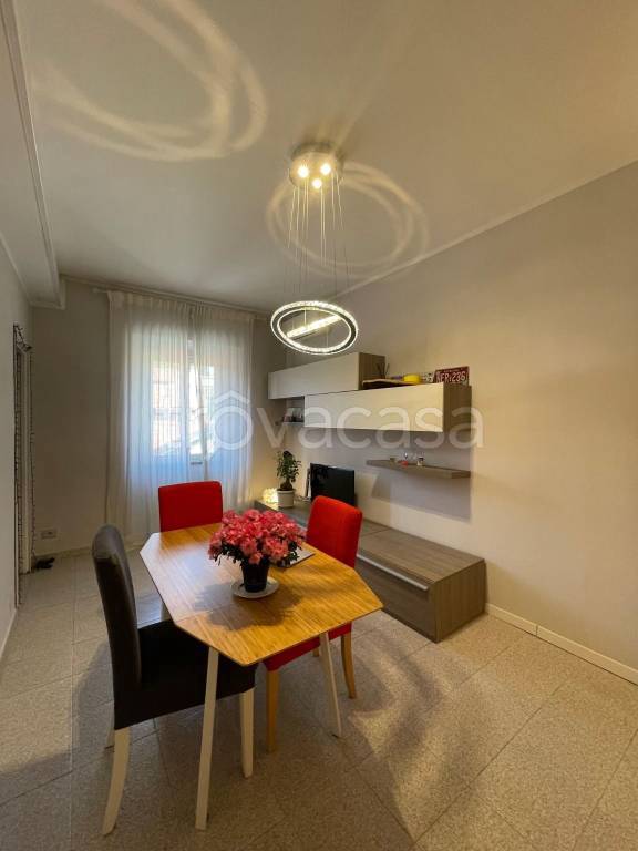 immagine annuncio 3 di 14