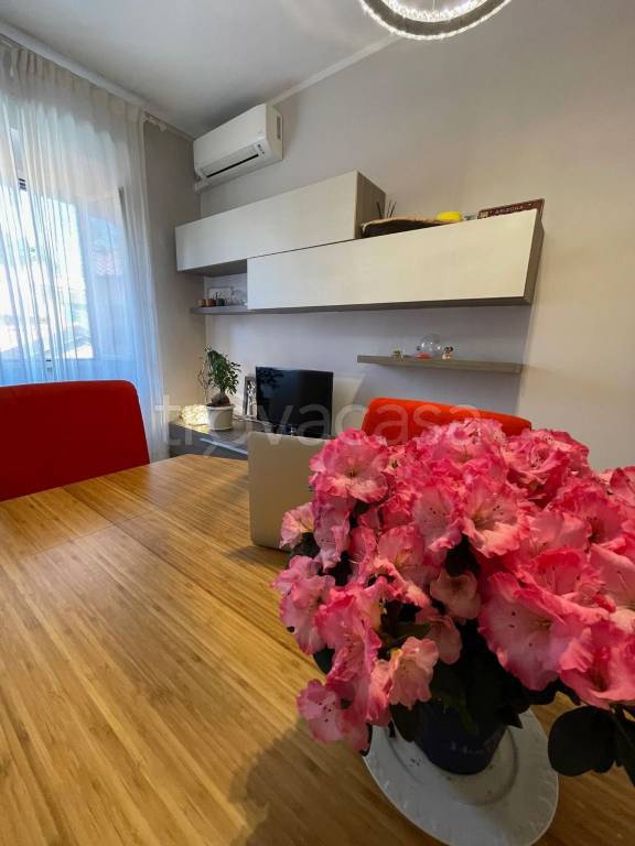 immagine annuncio 4 di 14