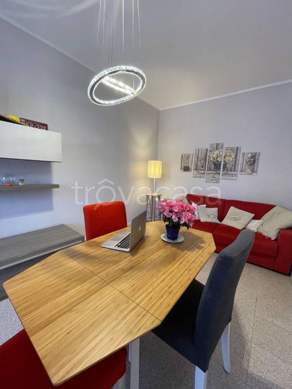 immagine annuncio 5 di 14