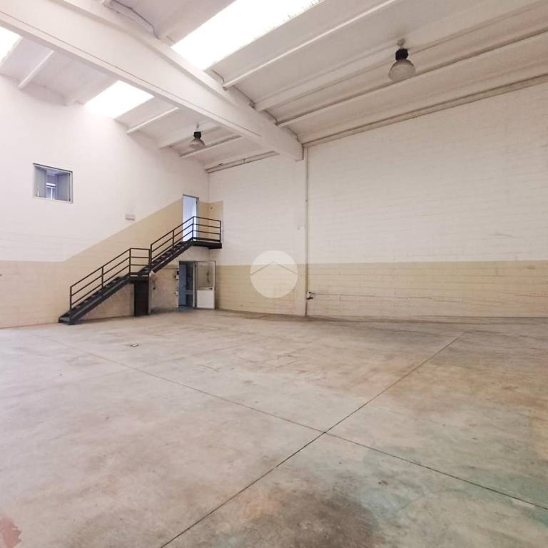 immagine annuncio 2 di 14