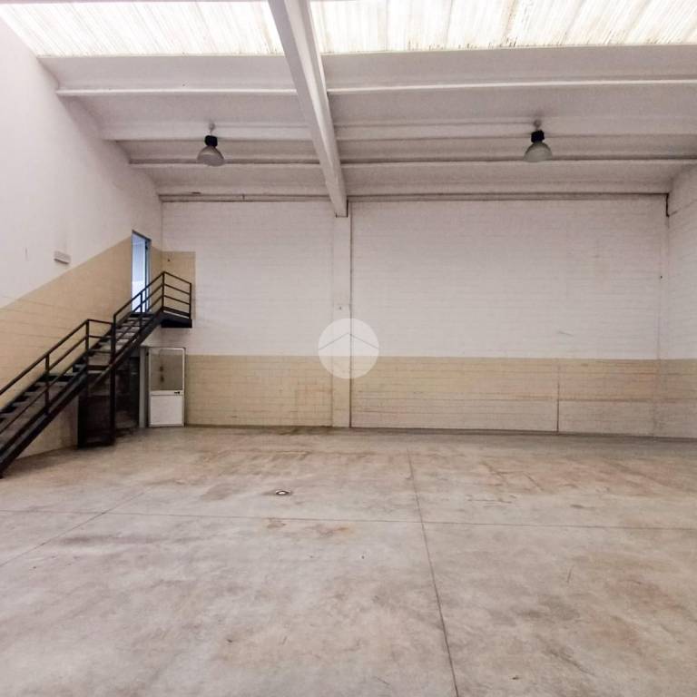 immagine annuncio 3 di 14