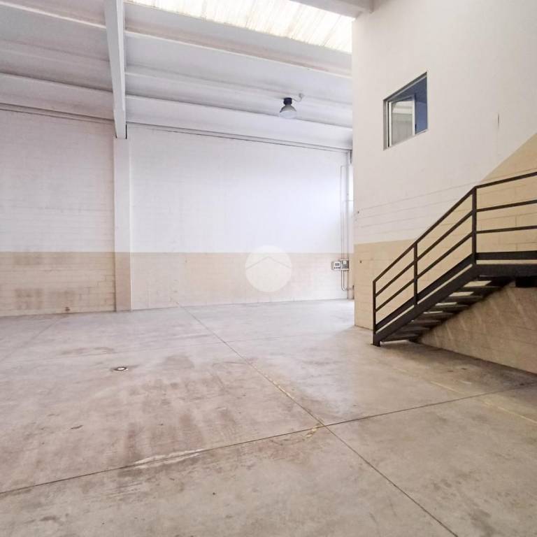 immagine annuncio 4 di 14