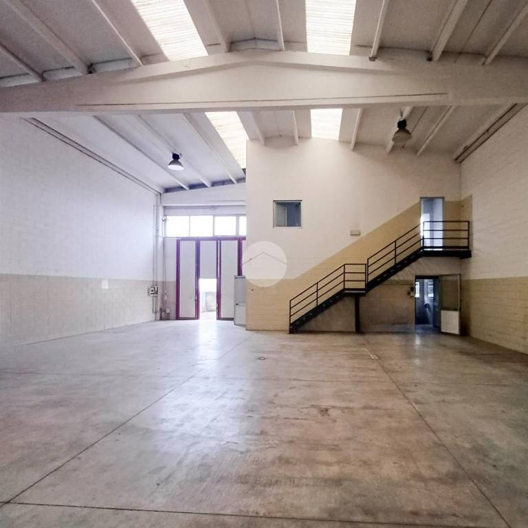 immagine annuncio 6 di 14