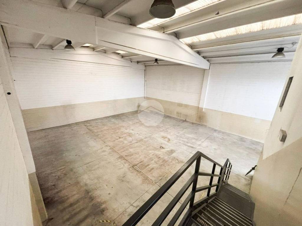 immagine annuncio 8 di 14