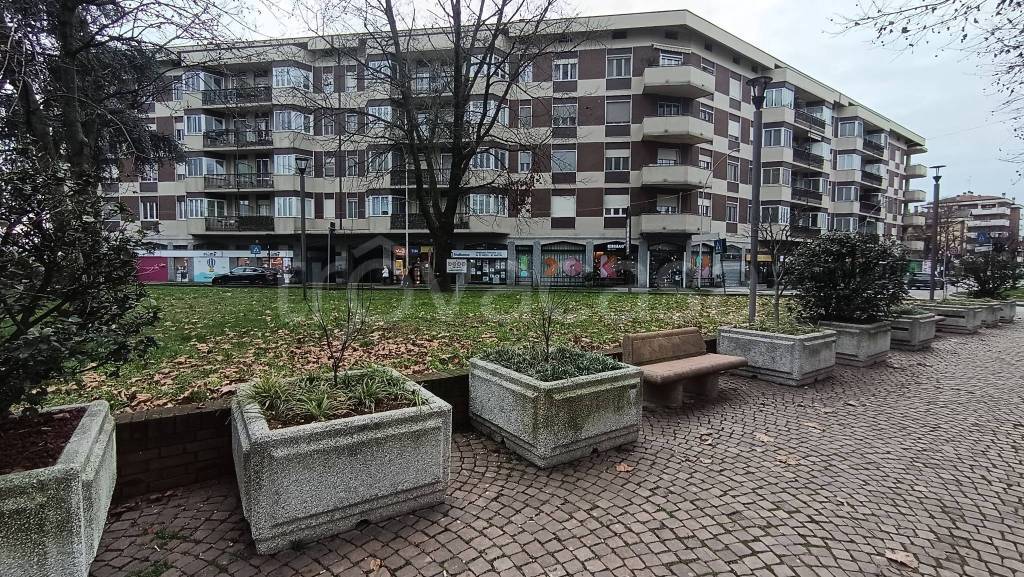 immagine annuncio 10 di 15