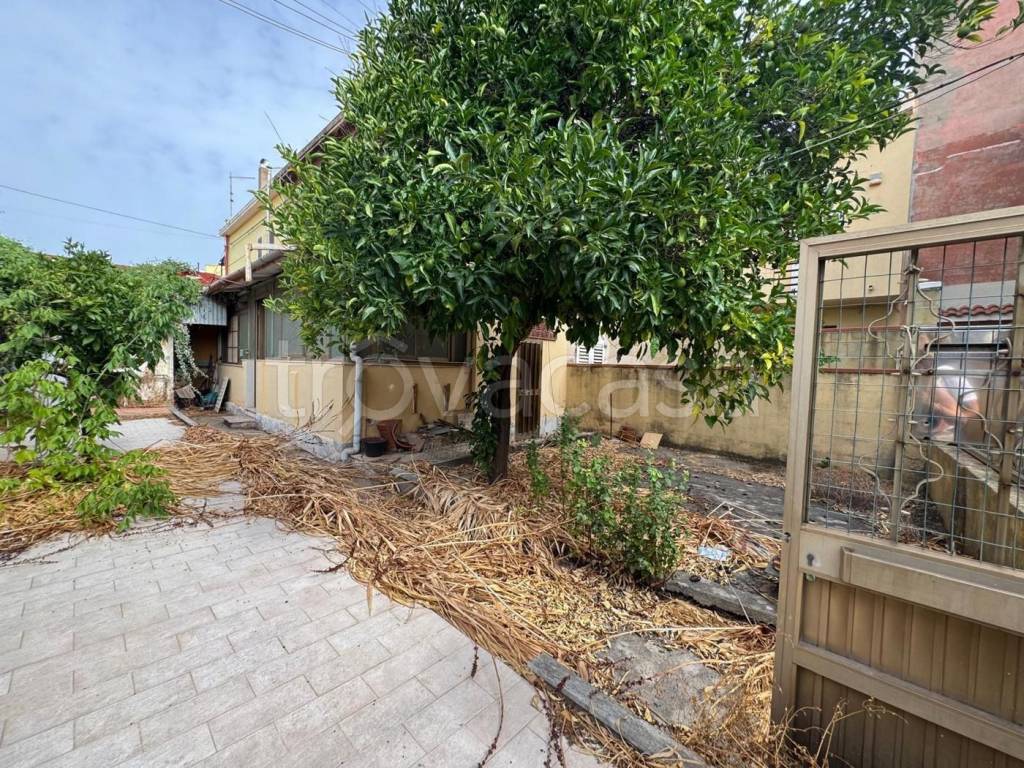 immagine annuncio 2 di 7