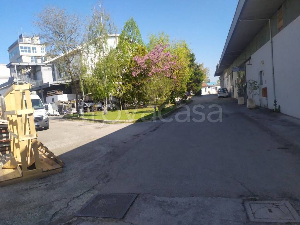 immagine annuncio 1 di 12