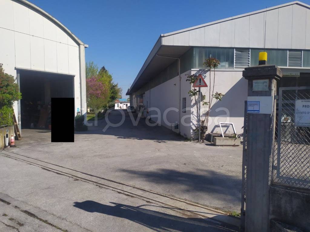 immagine annuncio 3 di 12