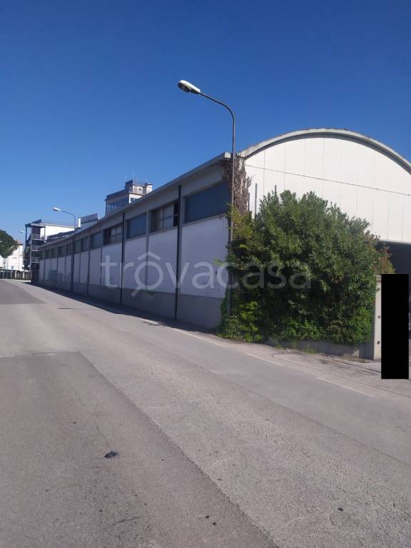 immagine annuncio 4 di 12