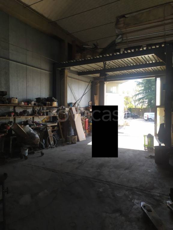 immagine annuncio 6 di 12