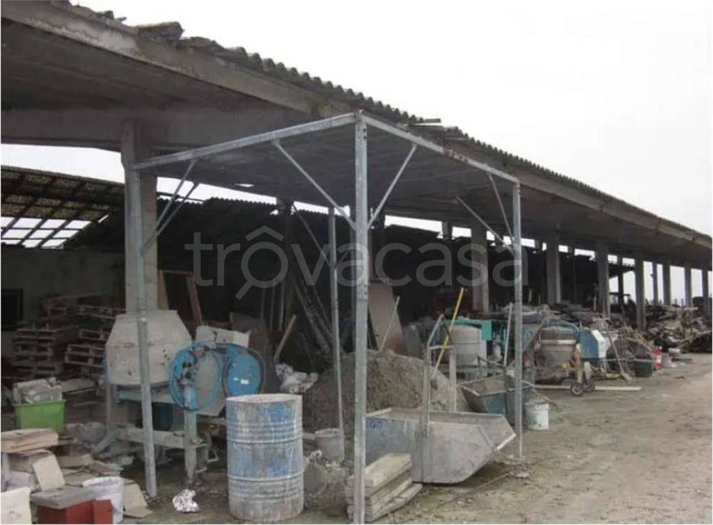 immagine annuncio 3 di 14