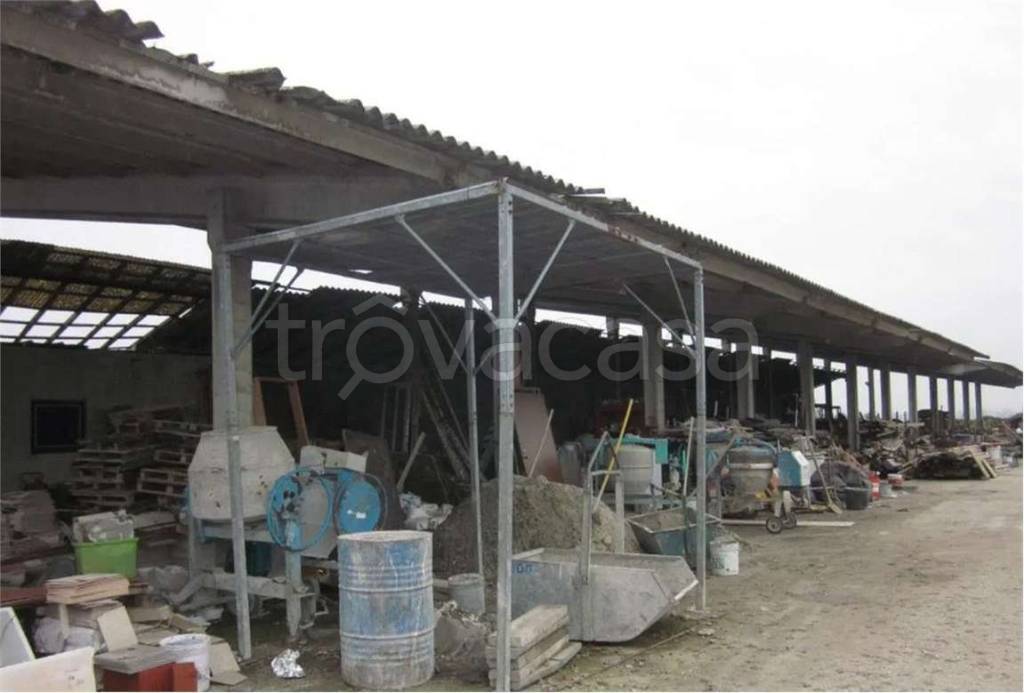 immagine annuncio 7 di 14