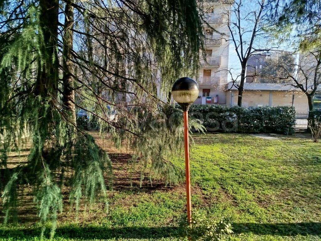 immagine annuncio 8 di 11