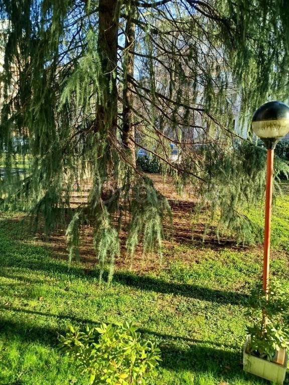 immagine annuncio 10 di 11