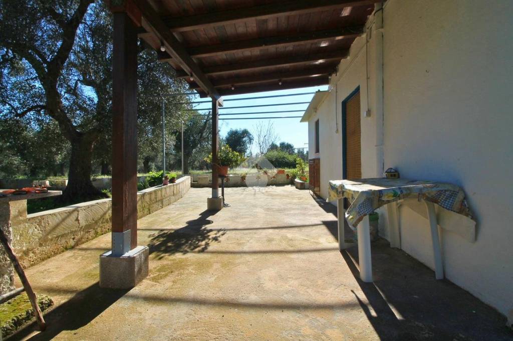 immagine annuncio 1 di 8