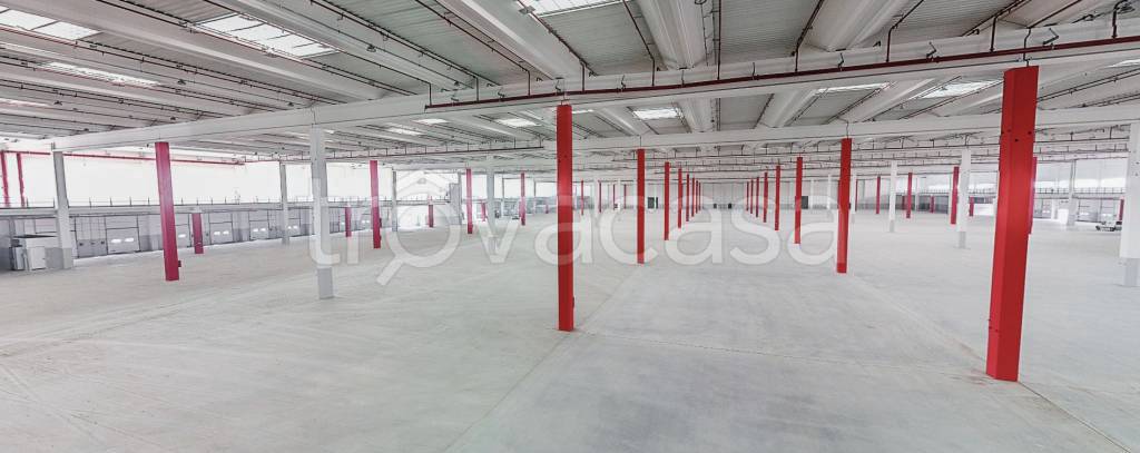 immagine annuncio 3 di 13