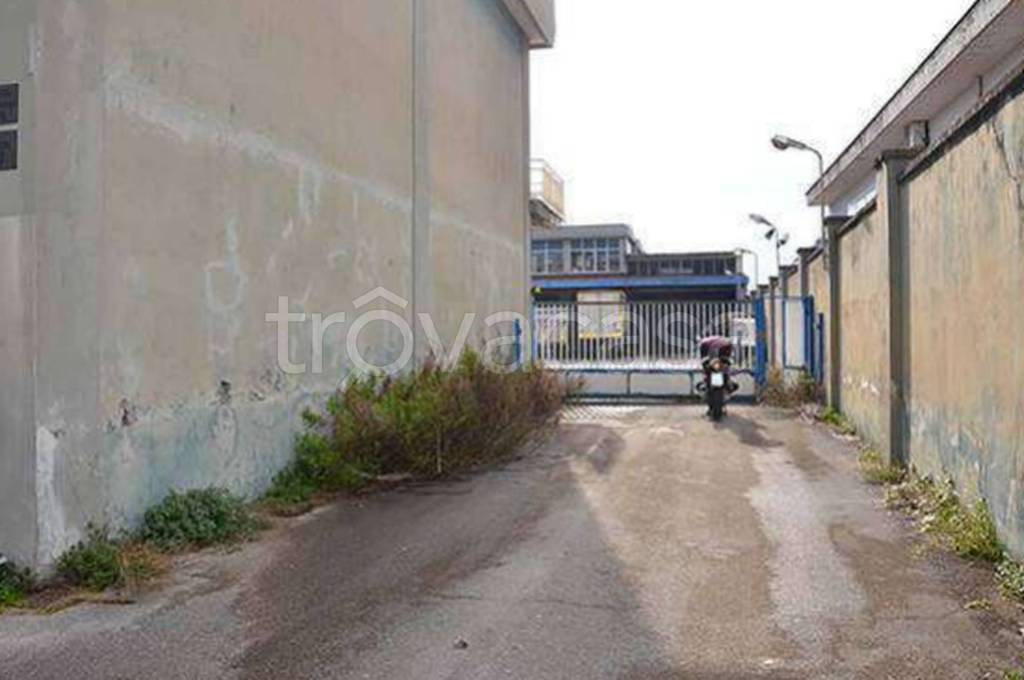 immagine annuncio 2 di 12