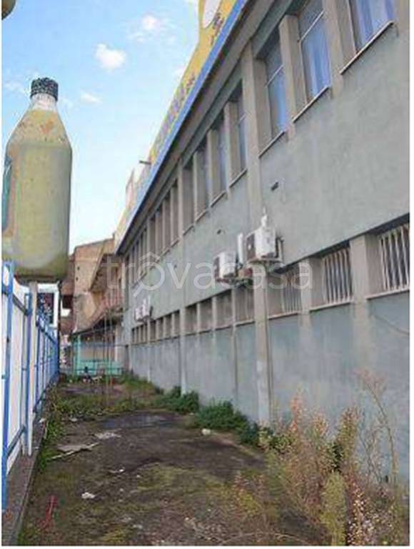 immagine annuncio 5 di 12