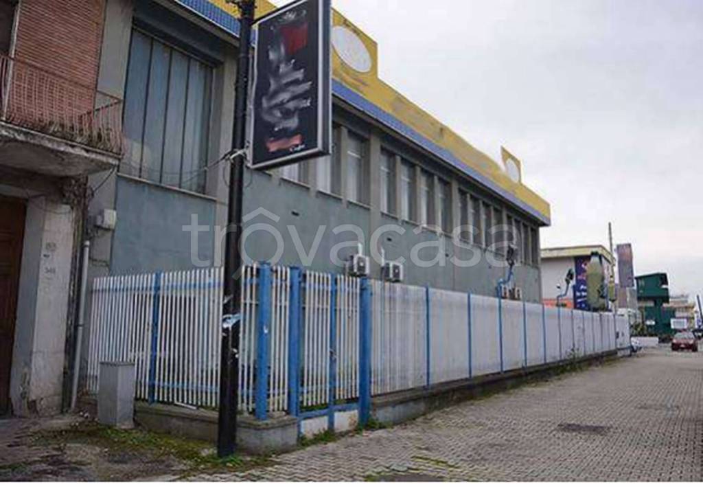 immagine annuncio 7 di 12