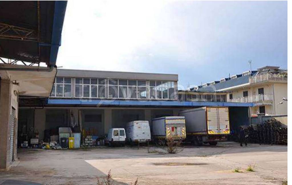 immagine annuncio 9 di 12