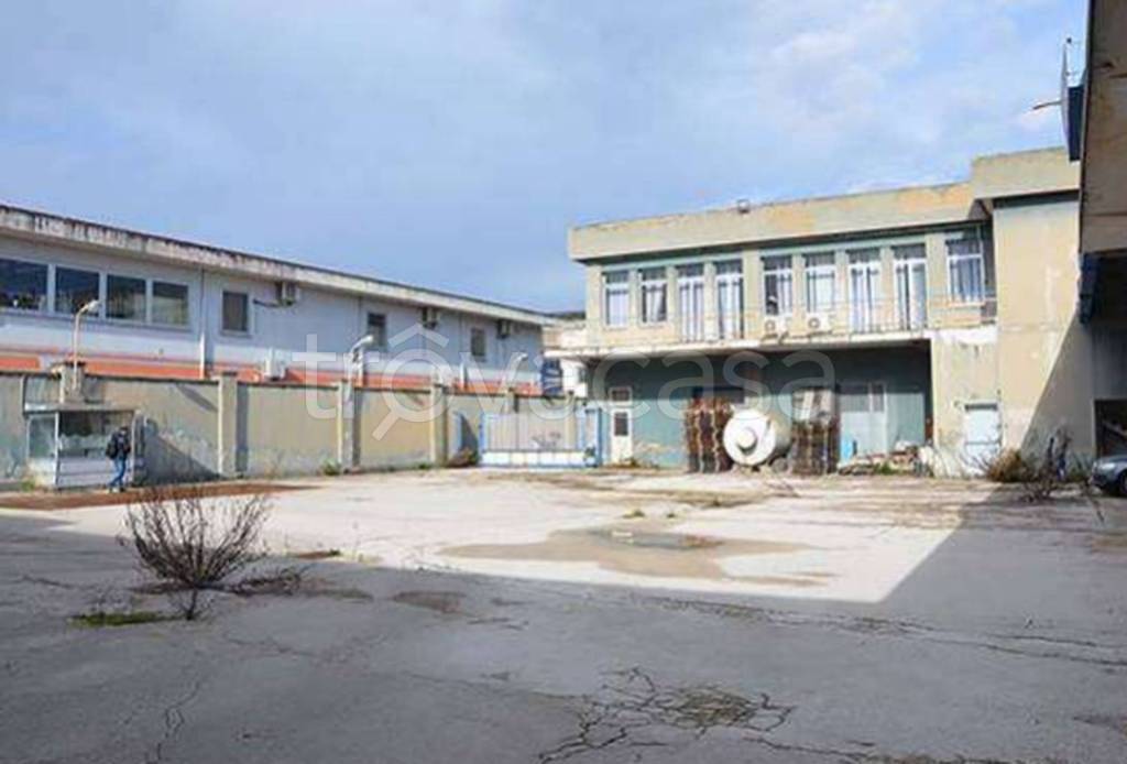 immagine annuncio 10 di 12