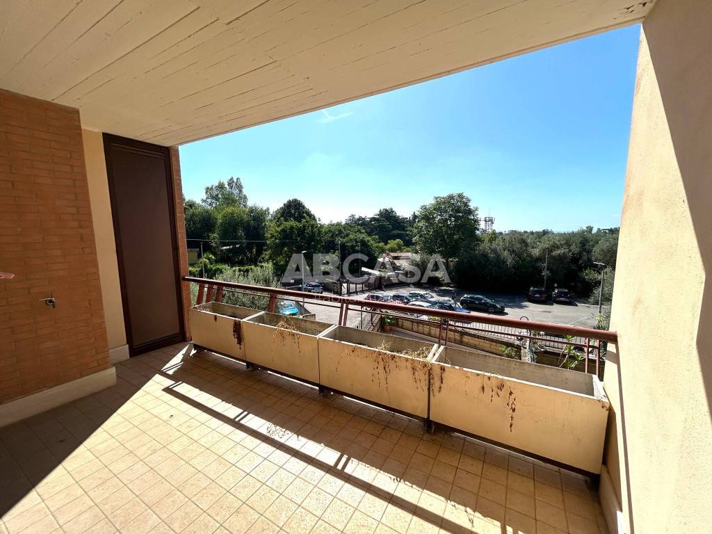 immagine annuncio 3 di 14