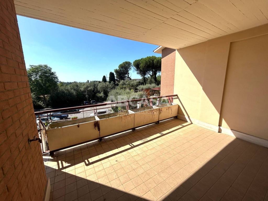 immagine annuncio 5 di 14