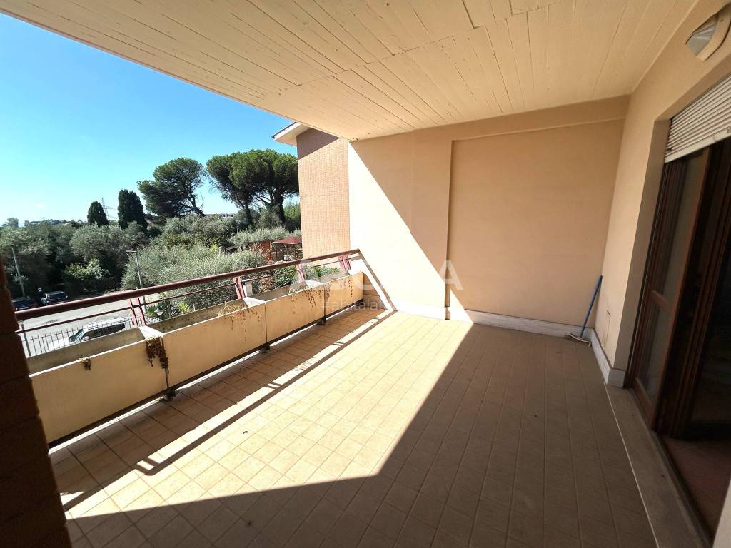 immagine annuncio 6 di 14