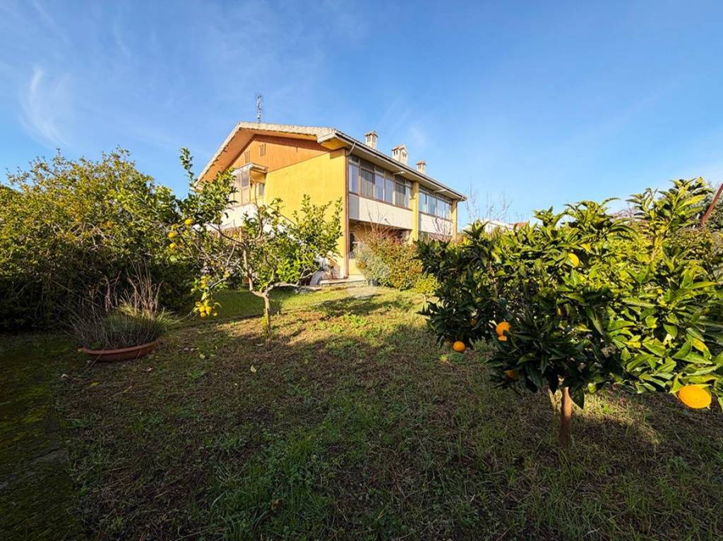 immagine annuncio 1 di 15