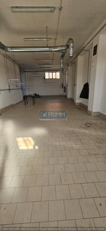 immagine annuncio 2 di 6