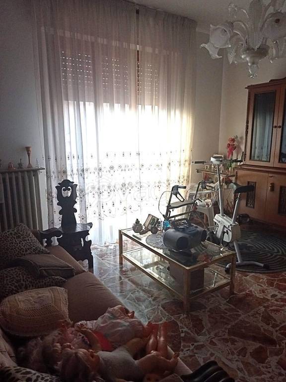 immagine annuncio 4 di 13