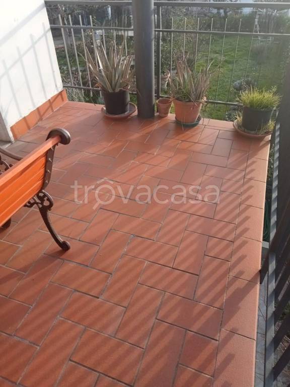 immagine annuncio 12 di 13