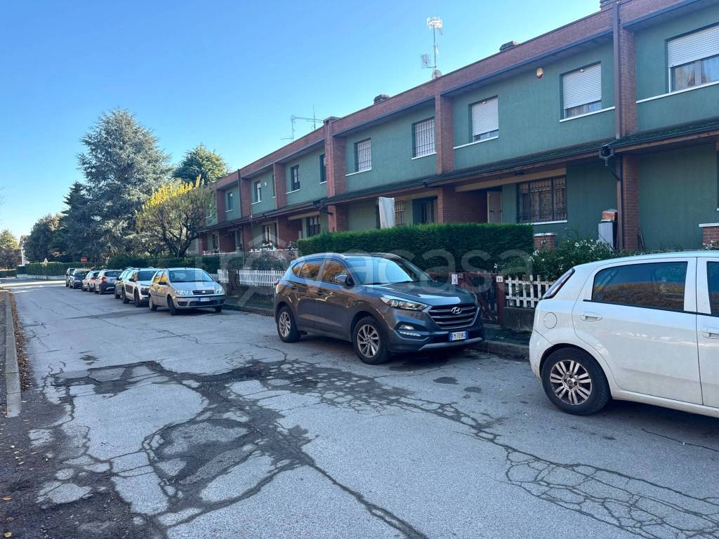 immagine annuncio 3 di 15