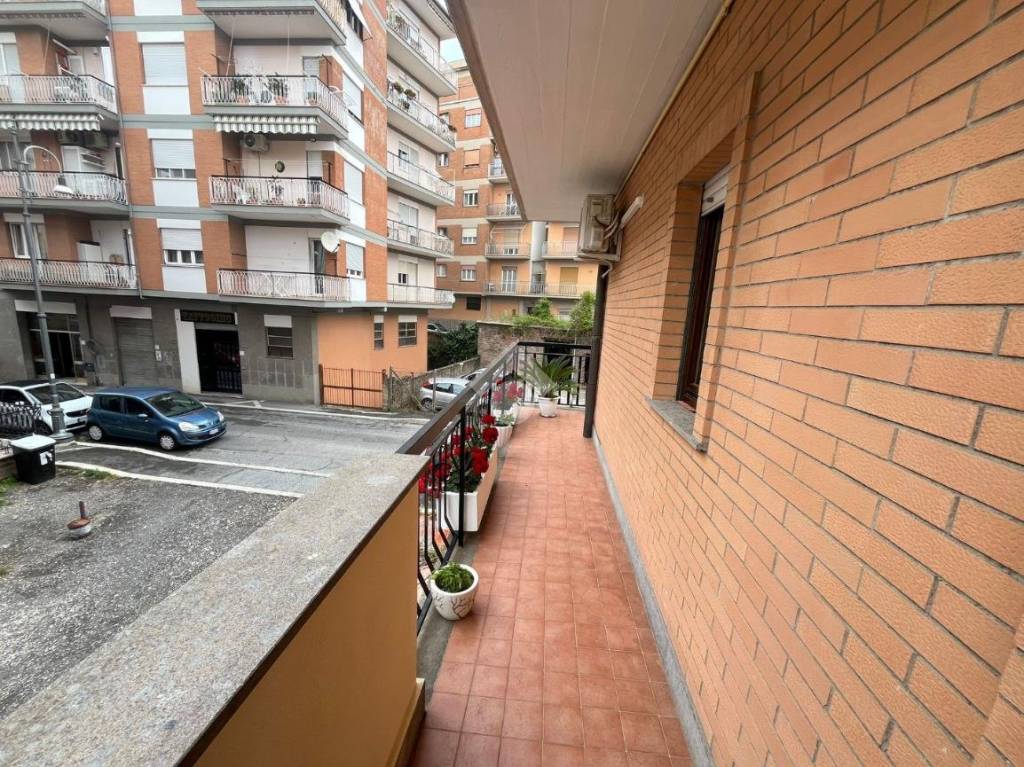 immagine annuncio 13 di 14