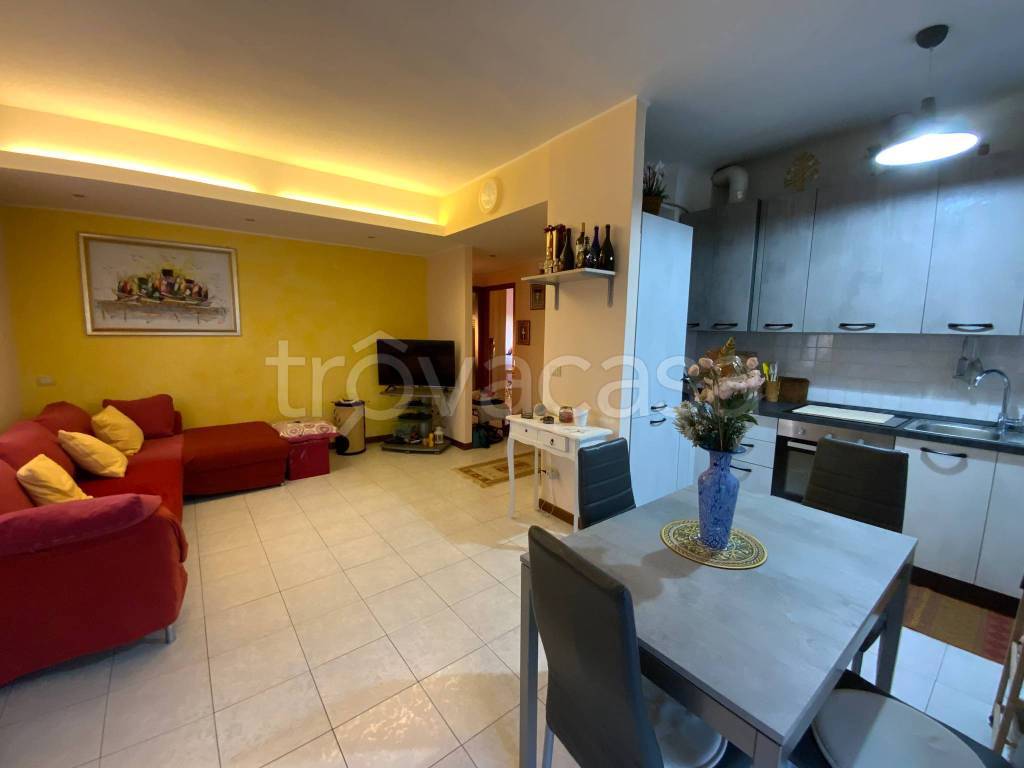 immagine annuncio 6 di 15