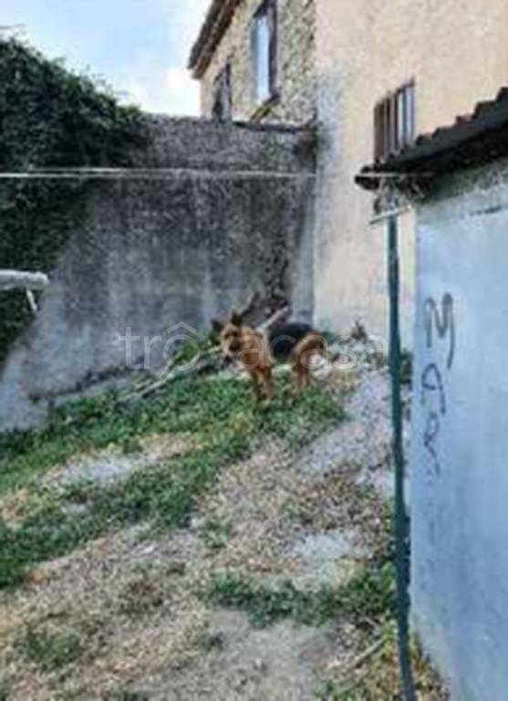 immagine annuncio 4 di 11