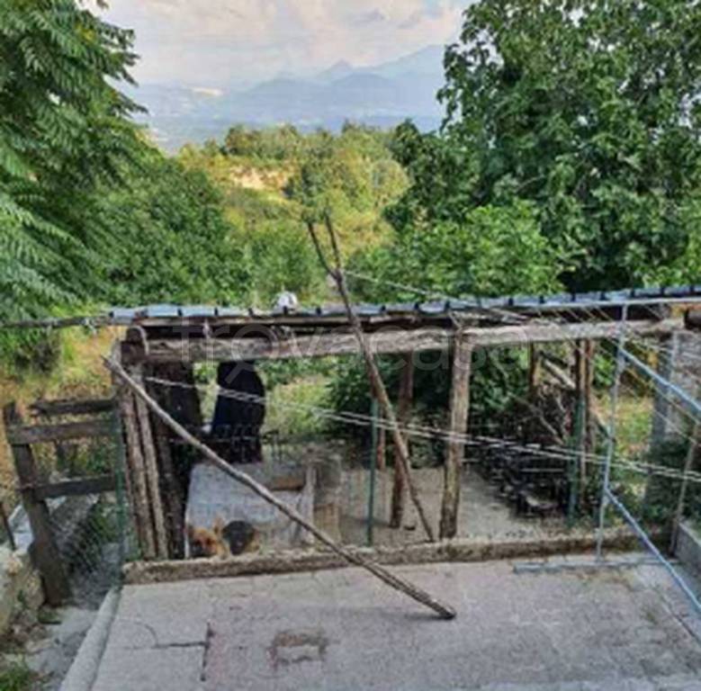 immagine annuncio 6 di 11