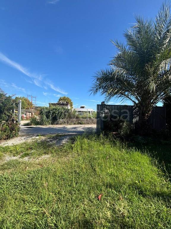 immagine annuncio 4 di 6