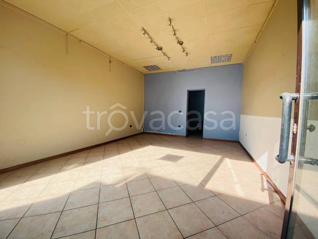 immagine annuncio 2 di 4