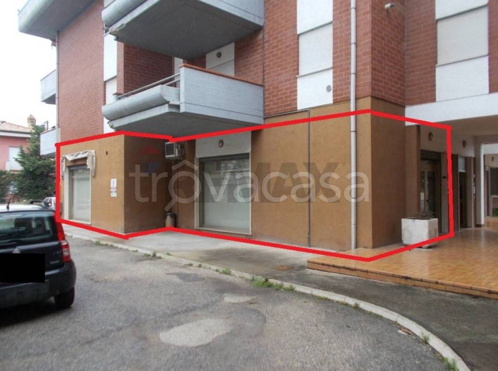 immagine annuncio 1 di 11