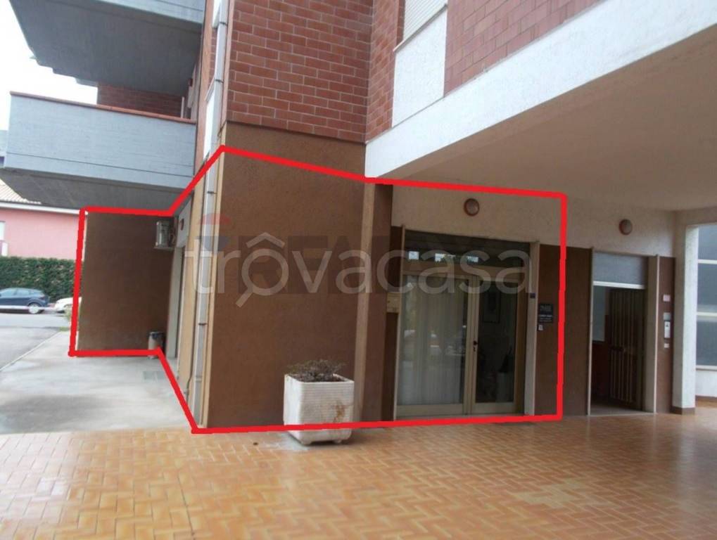 immagine annuncio 2 di 11