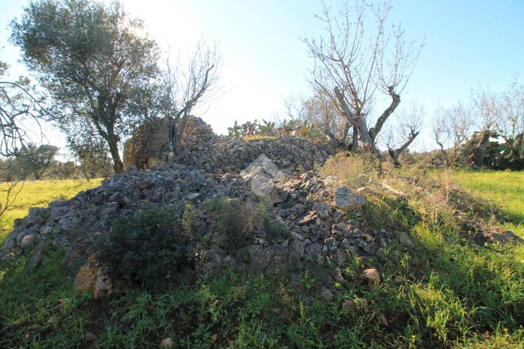 immagine annuncio 7 di 11