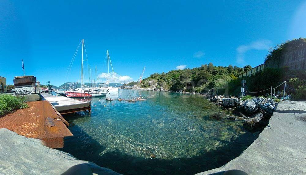 immagine annuncio 9 di 14