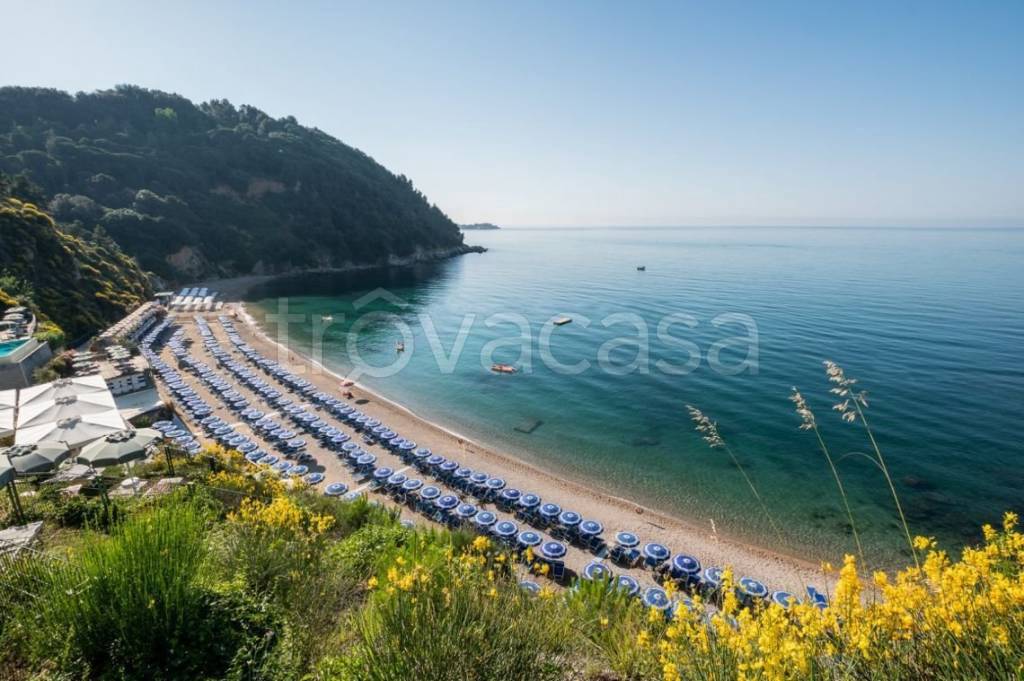 immagine annuncio 10 di 14