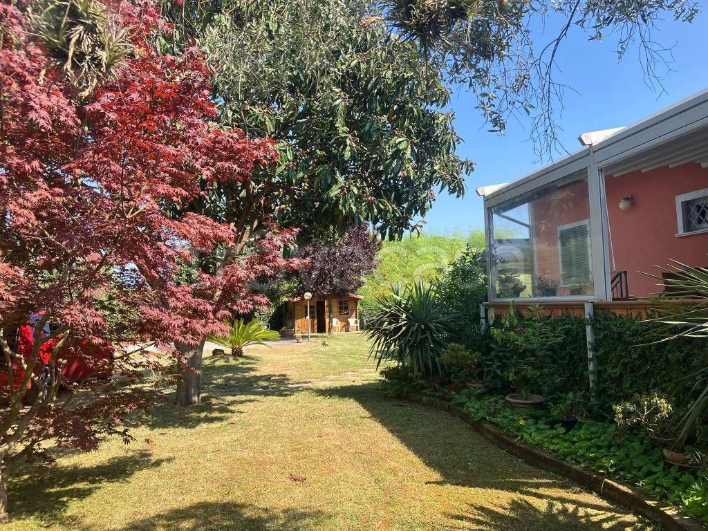 immagine annuncio 4 di 13