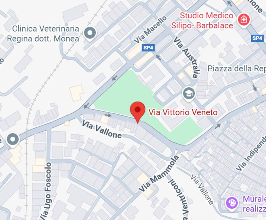 immagine annuncio 6 di 11