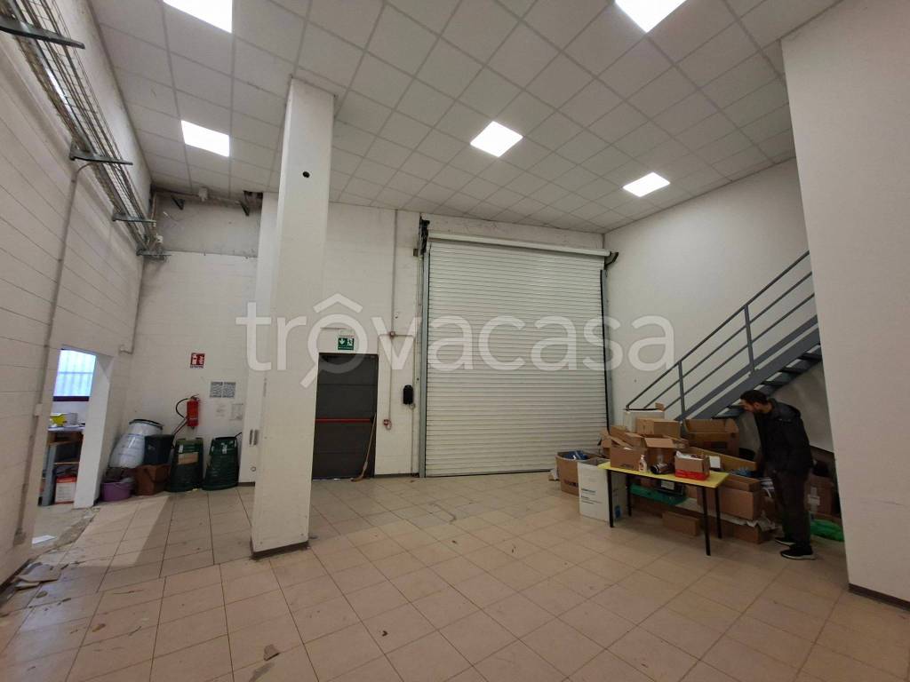 immagine annuncio 5 di 15