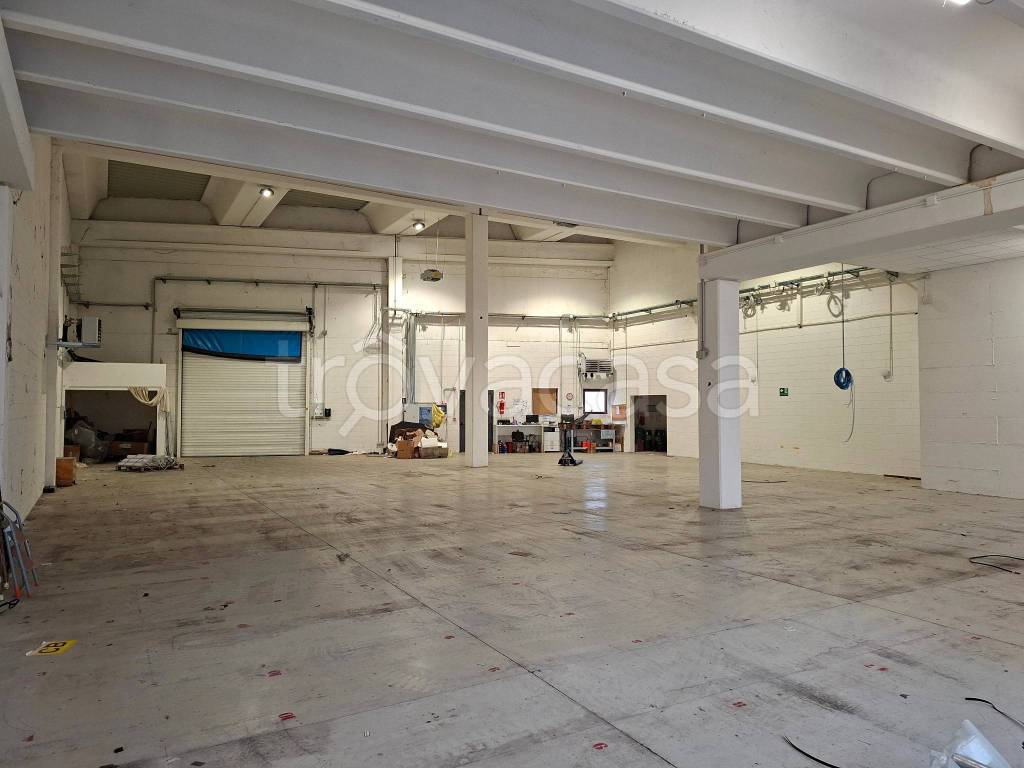 immagine annuncio 9 di 15